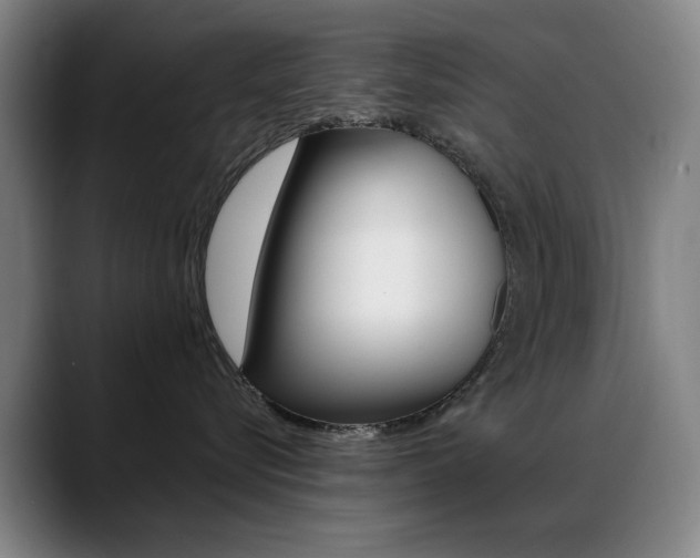 X0000089360576200706150825