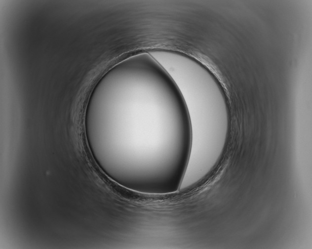 X0000089360577200706150825