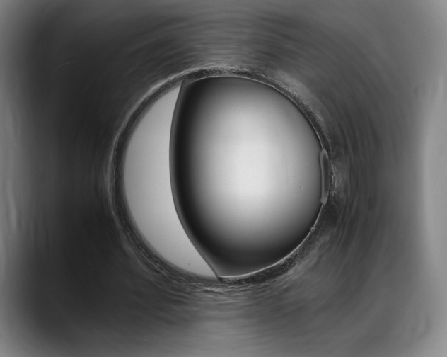 X0000089360580200706150825