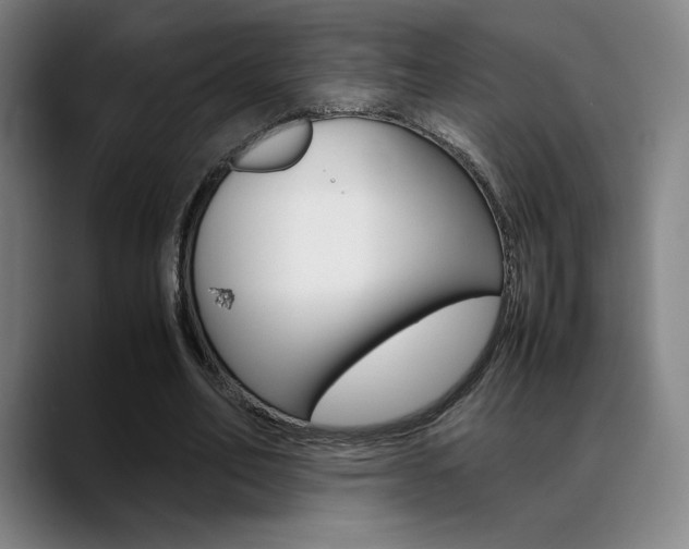 X0000089360582200706150825