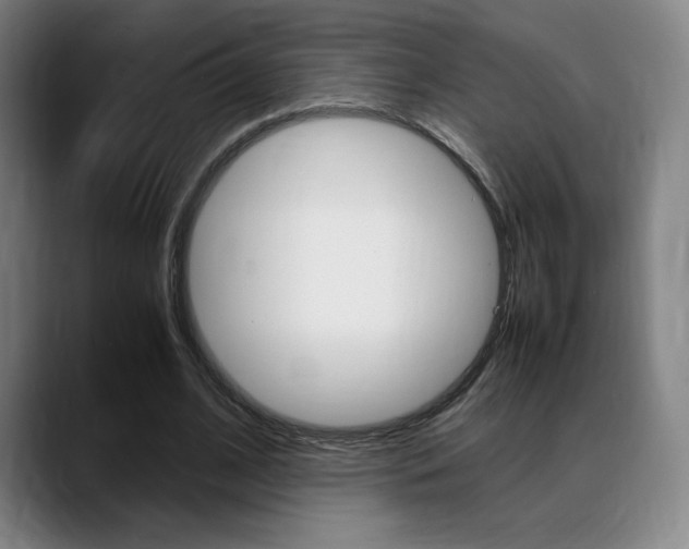 X0000089360584200706150825