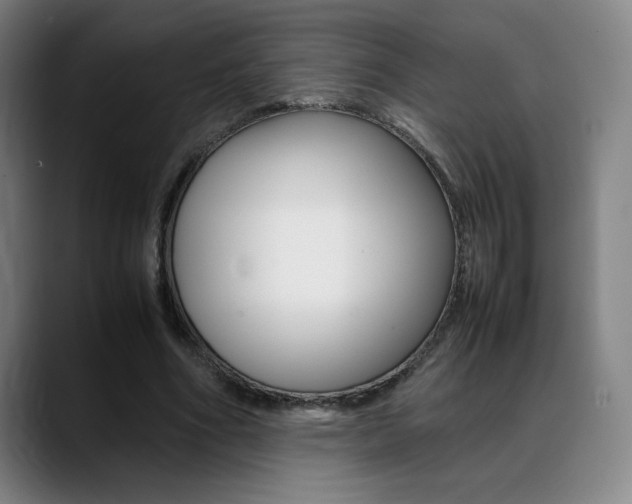 X0000089360586200706150825
