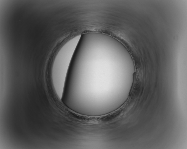 X0000089360587200706150825