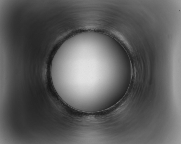 X0000089360588200706150825