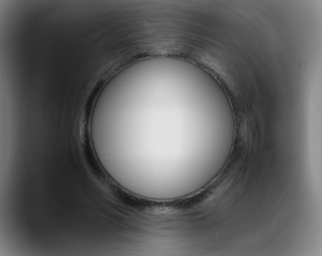 X0000089360590200706150825