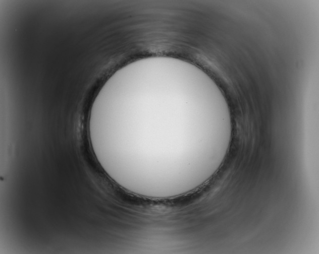 X0000089360592200706150825