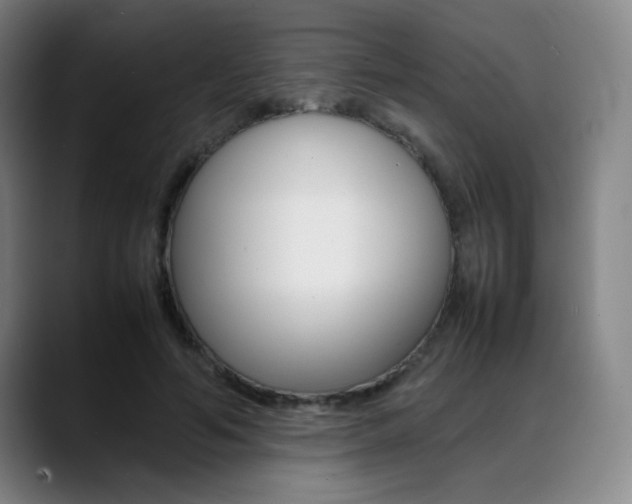 X0000089360594200706150825