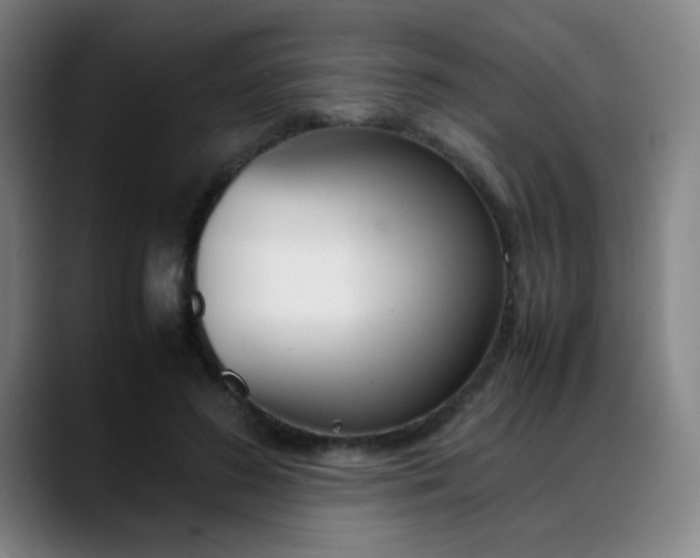 X0000089360596200706150825
