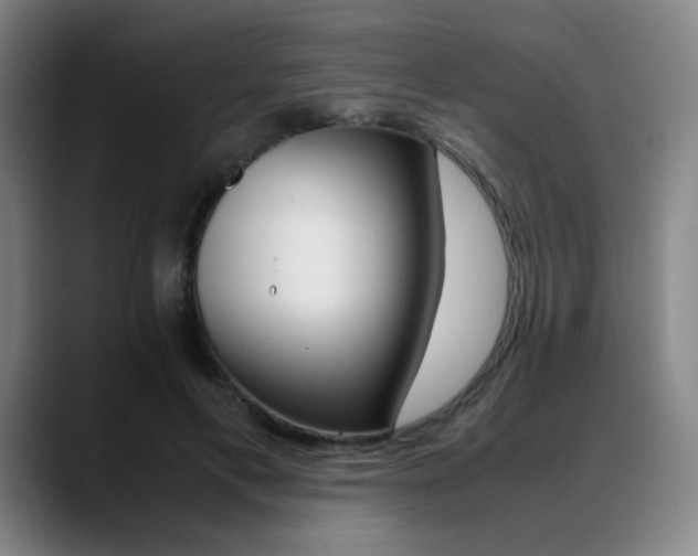 X0000089360597200706150825