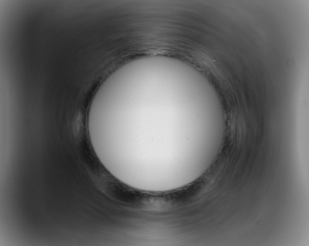 X0000089360598200706150825
