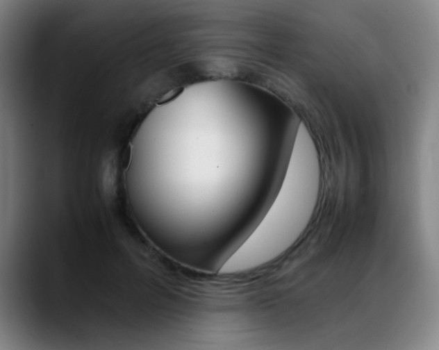 X0000089360600200706150825