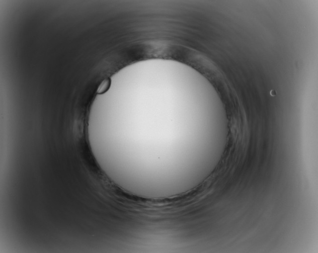 X0000089360602200706150825