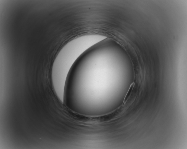 X0000089360604200706150824