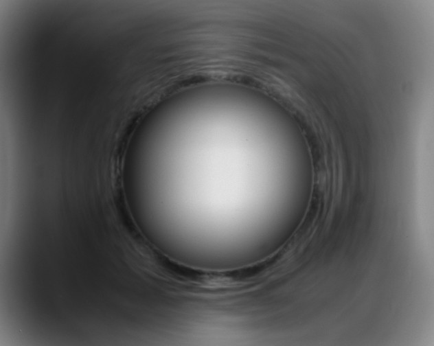 X0000089360605200706150824