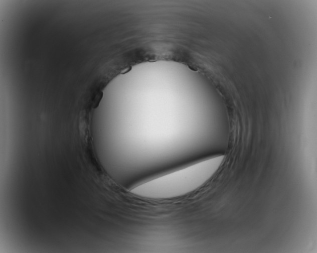 X0000089360609200706150824