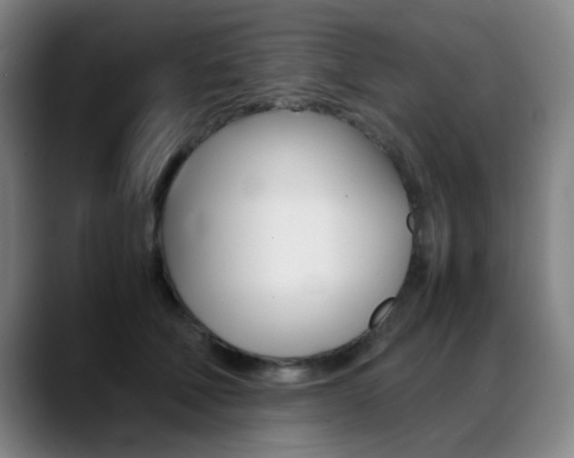 X0000089360610200706150824