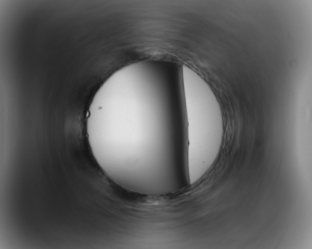 X0000089360612200706150824