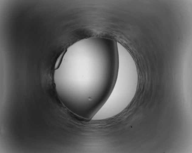 X0000089360613200706150824