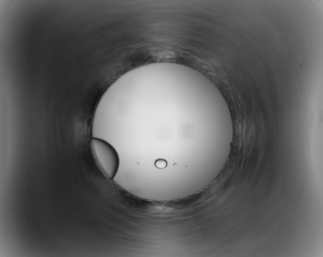 X0000089360614200706150824