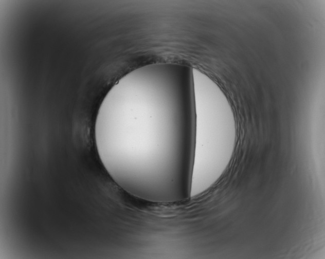 X0000089360615200706150824