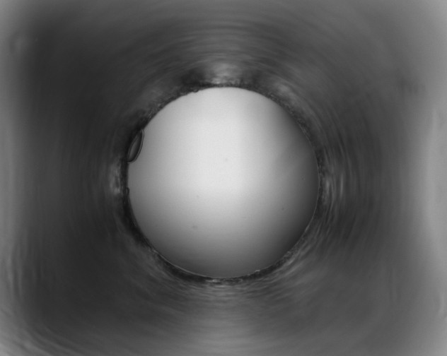 X0000089360620200706150824