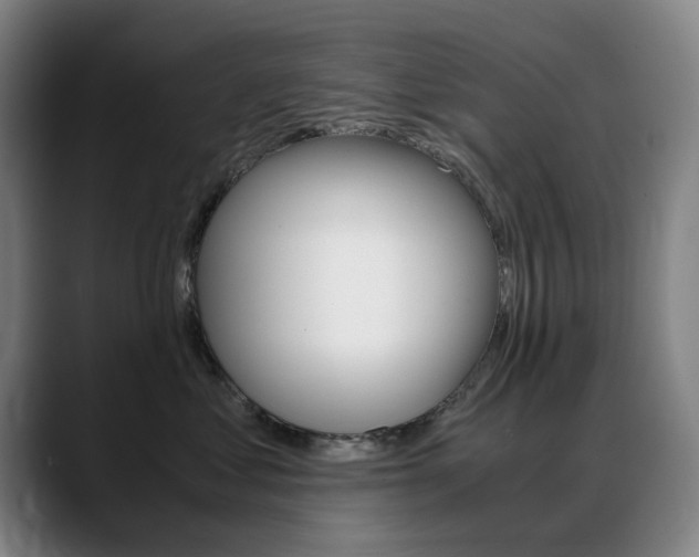 X0000089360621200706150824