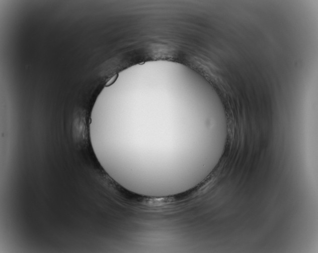 X0000089360622200706150824