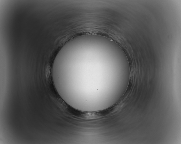 X0000089360623200706150824