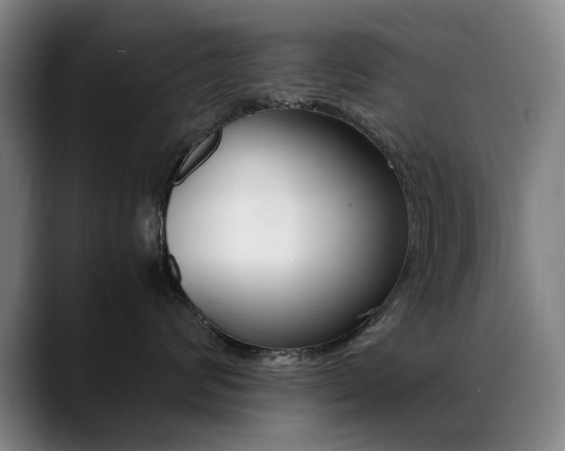 X0000089360624200706150824