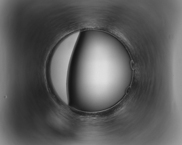 X0000089360626200706150824