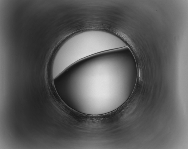 X0000089360627200706150824