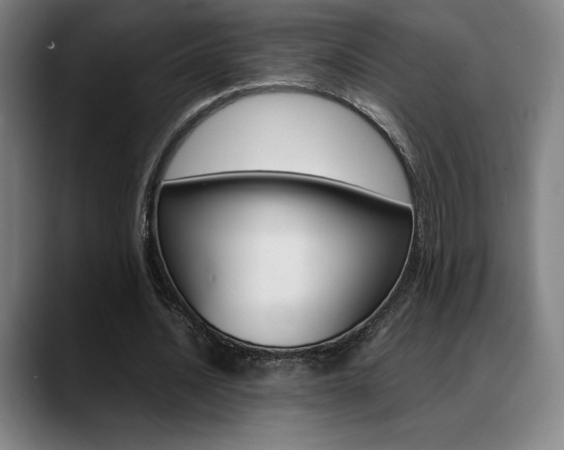 X0000089360628200706150824