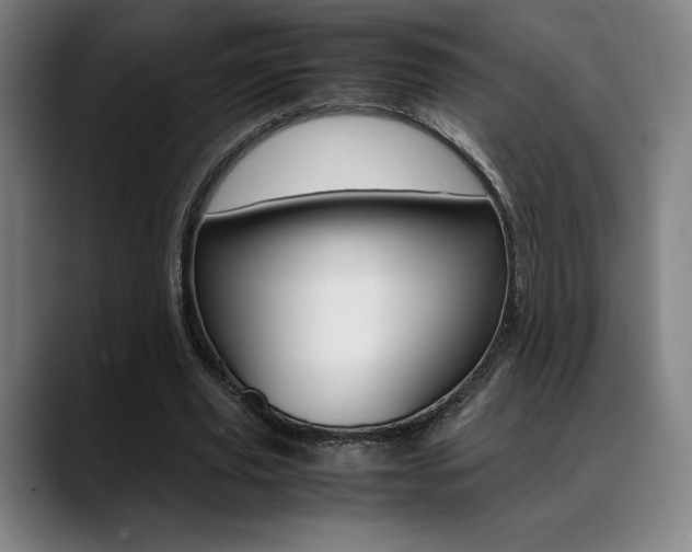 X0000089360629200706150824