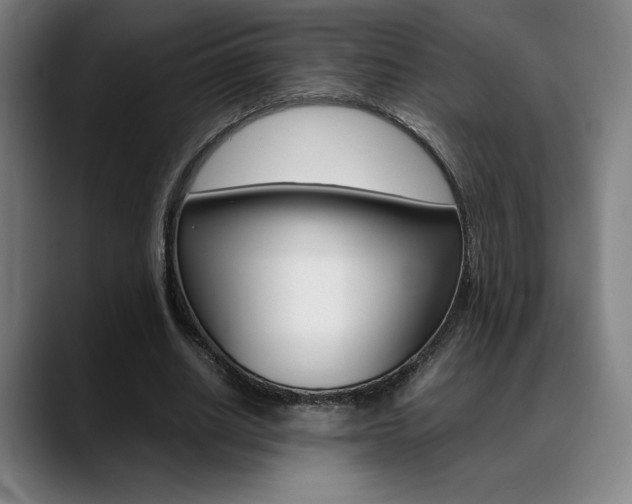 X0000089360630200706150824