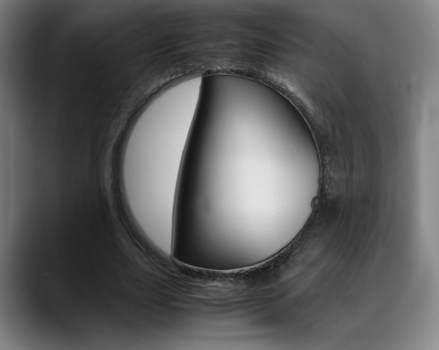 X0000089360631200706150824