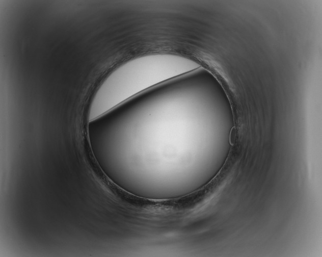 X0000089360633200706150824