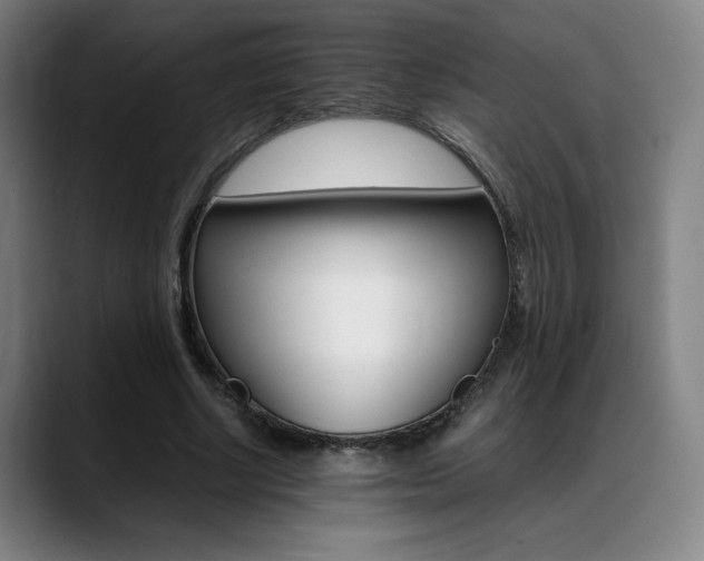 X0000089360634200706150824
