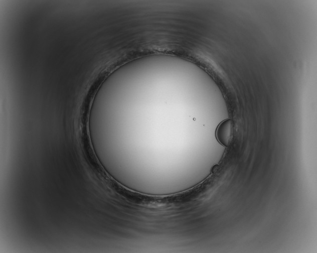 X0000089360635200706150824