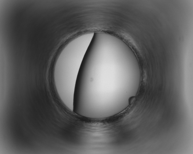 X0000089360636200706150824