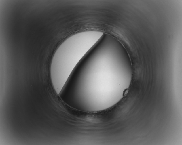X0000089360641200706150824