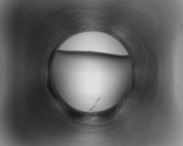 X0000089360642200706150824