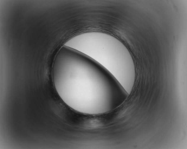 X0000089360643200706150824