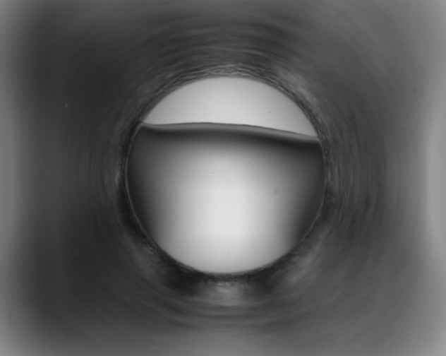 X0000089360645200706150824