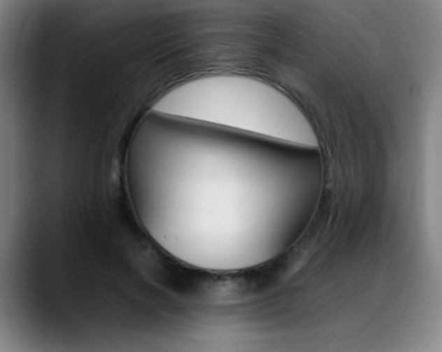 X0000089360646200706150824