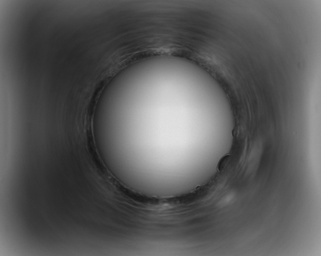 X0000089360647200706150824