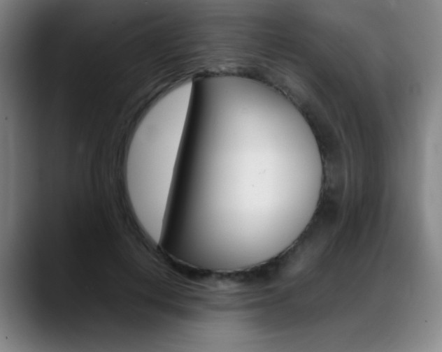 X0000089360648200706150824