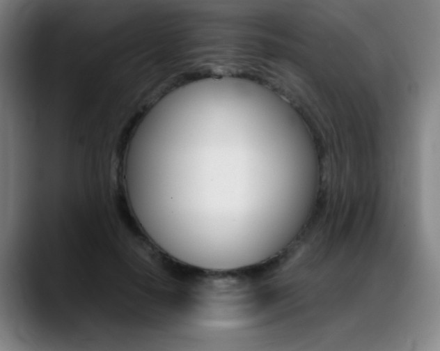 X0000089360650200706150824