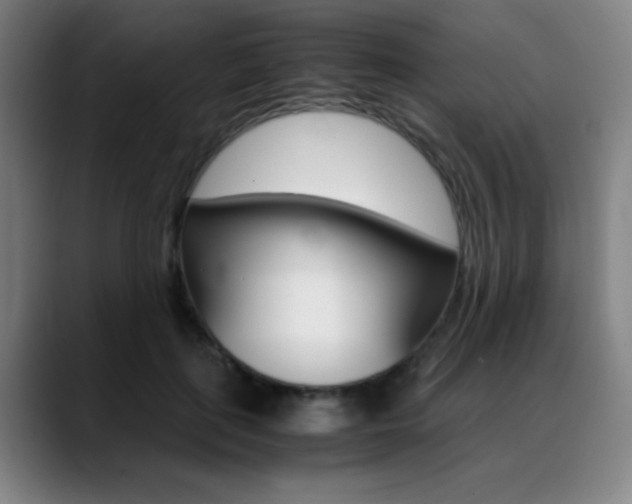X0000089360651200706150824
