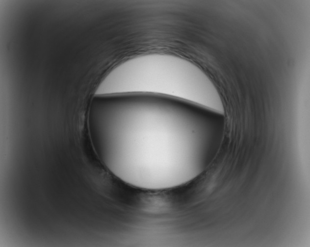 X0000089360652200706150824
