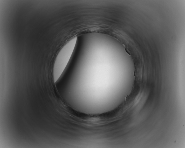 X0000089360653200706150824